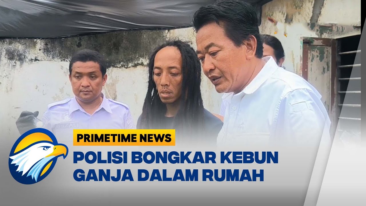 METRO: Major Marijuana Grow Operation Discovered in East Java