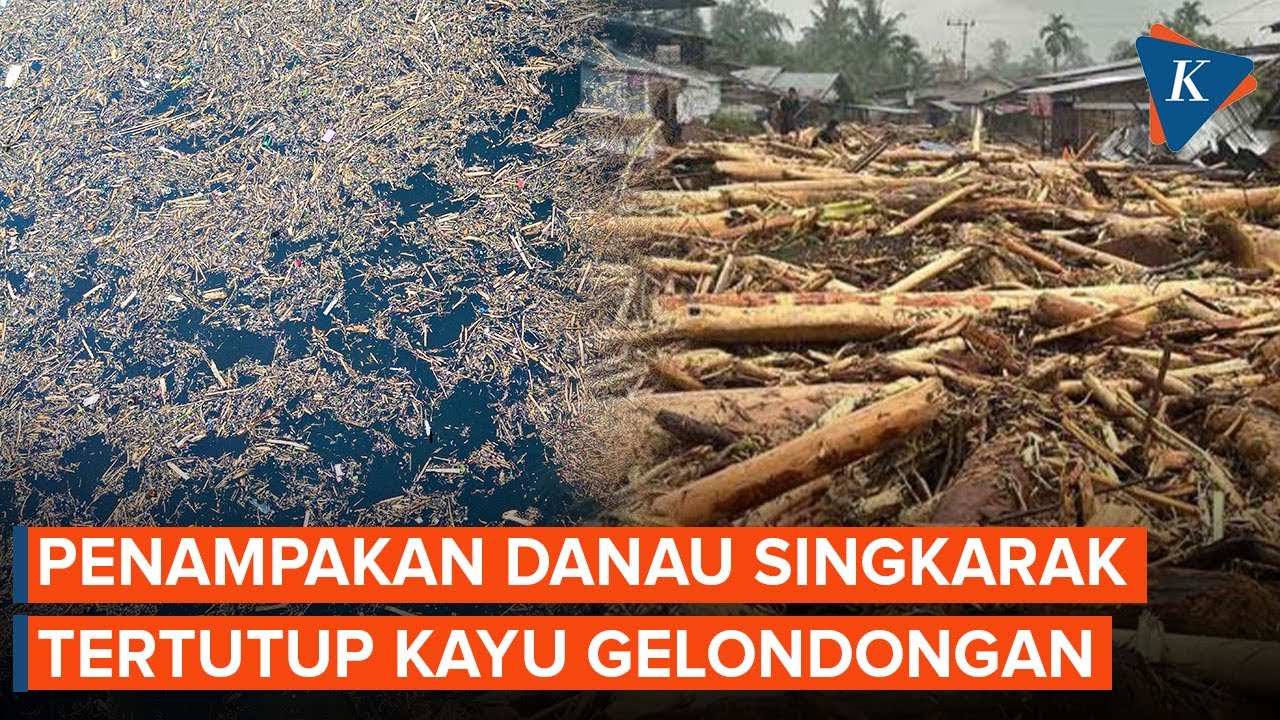 Kompascom Reporter On Location: Timber-Filled Floodwaters Raise Red Flags Over Illegal Logging Practices