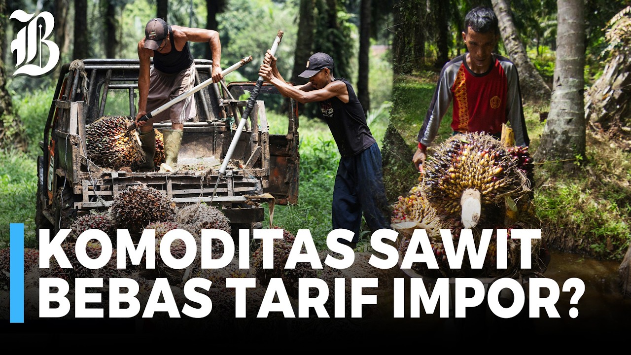 Bisnis: US Reduces Import Tariffs on Indonesian Goods to 19%